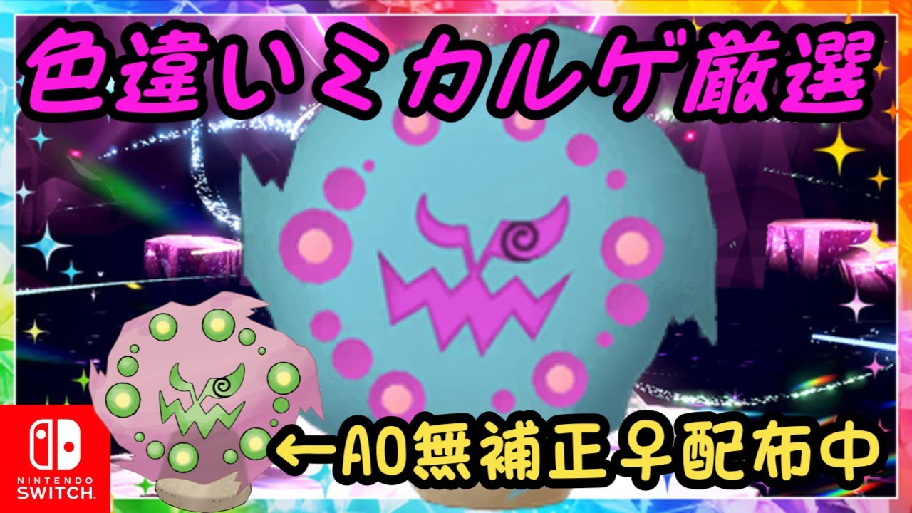 A0無補正♀ミカルゲ配布！！色違いミカルゲ出現なるか？？【初見歓迎】対策…ペルシアン等々◎【ポケモンSV】神スパレイドも？登録者２５００人へ