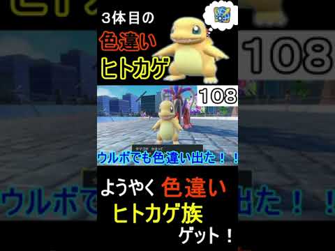 ようやく！　３体目色違いヒトカゲが出て、色違いヒトカゲ族ゲットだゼ！！＃shorts