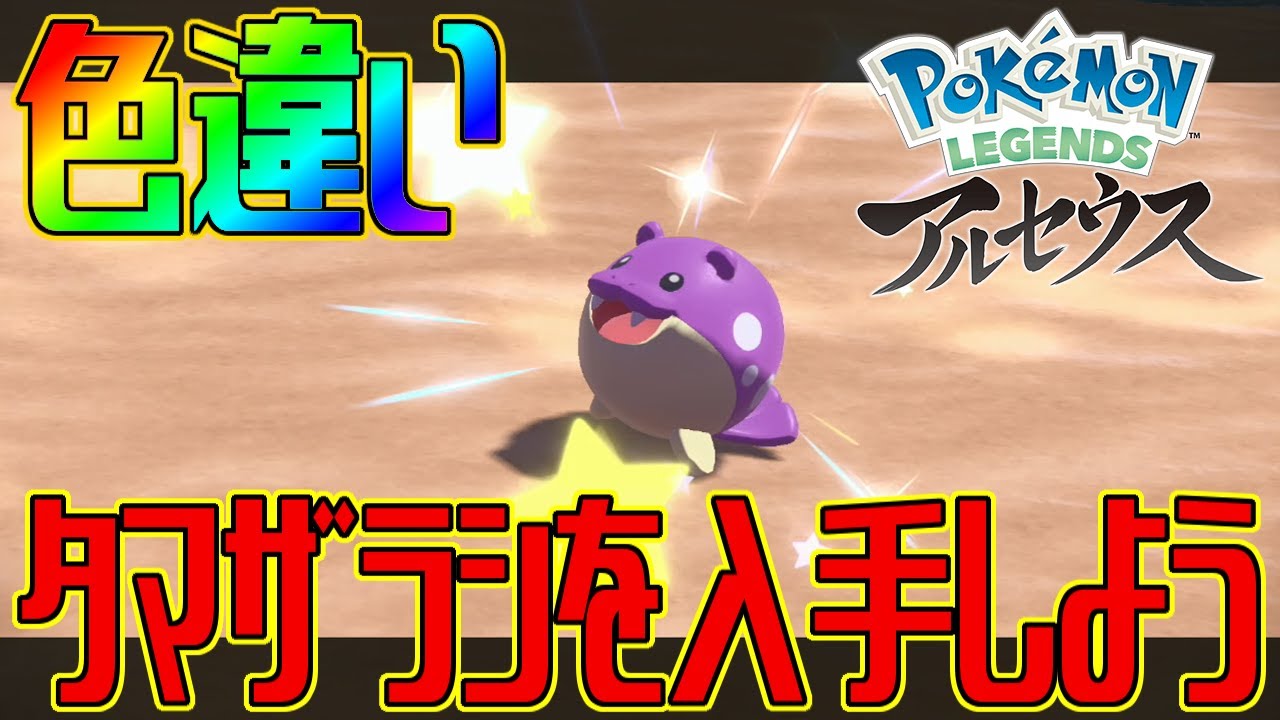 【ポケモンアルセウス】色違いタマザラシを入手しよう【Pokémon LEGENDS アルセウス】