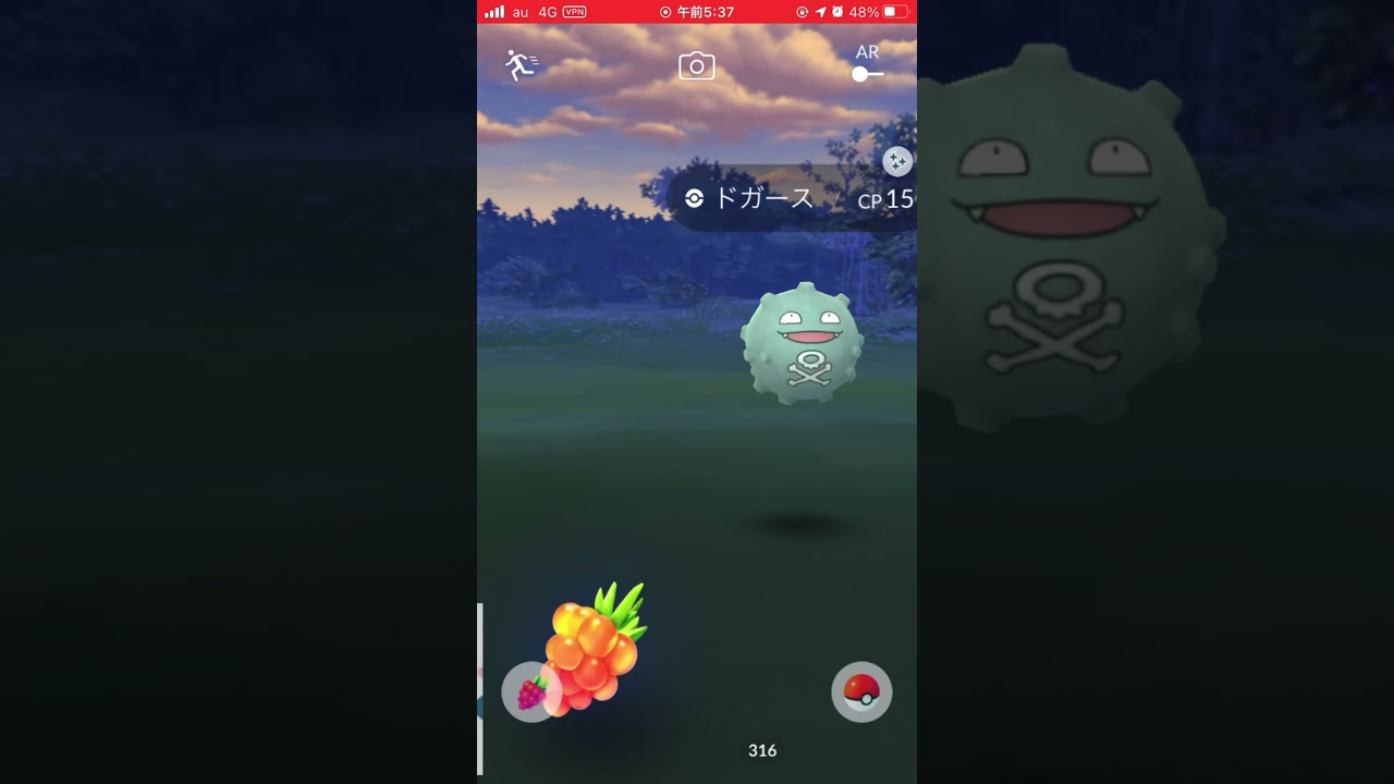 全然色違い出なくて色違いドガースが現れてくれました😭 #ポケモンgo #色違い ＃ドガース