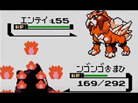 ポケモン金銀対戦動画①【55エンテイ】