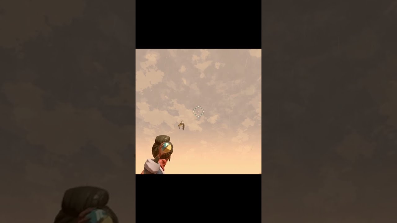 ムクホーク撃墜@群青の海岸　ポケモンレジェンズアルセウス