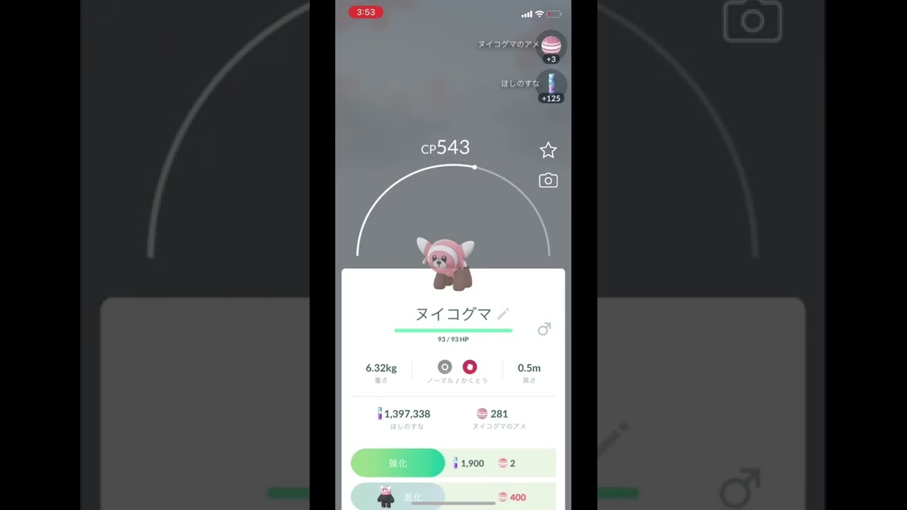 ポケモンGOでヌイコグマをゲット！