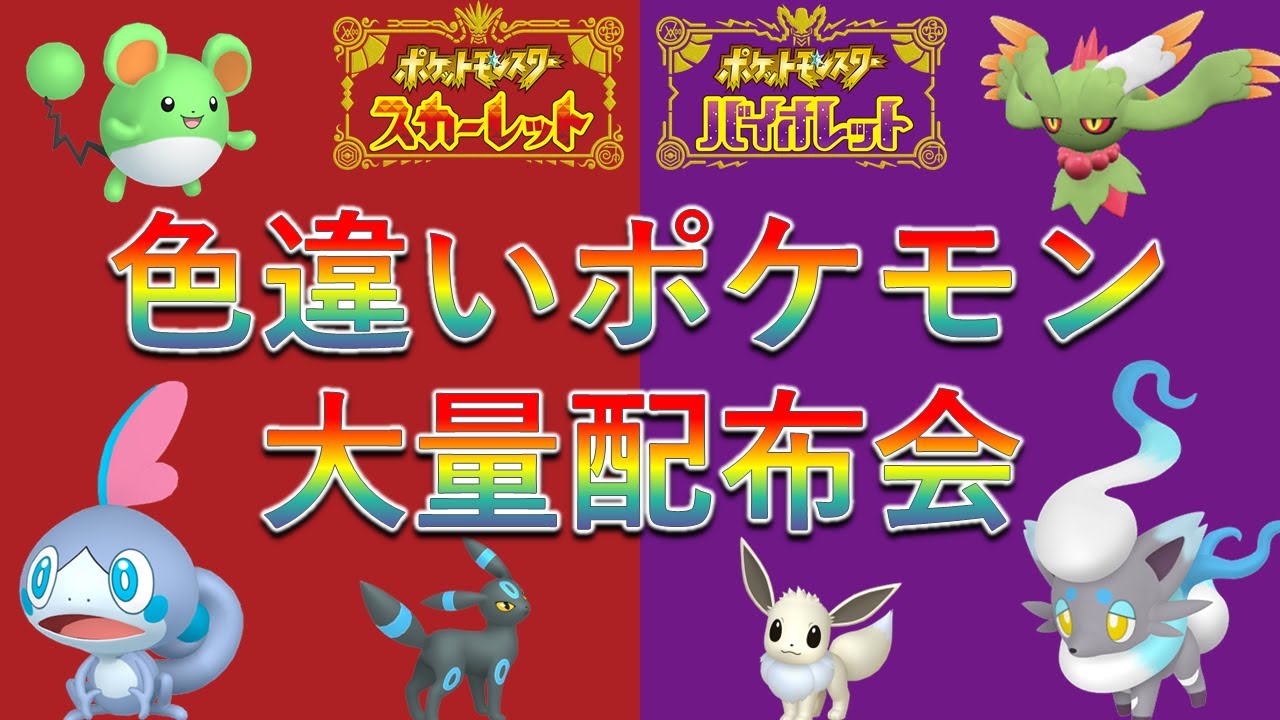【ポケモンSV】色違いポケモン大量配布会！メッソンやヒスイゾロアなど超激レア色違いポケモンの抽選配付も！