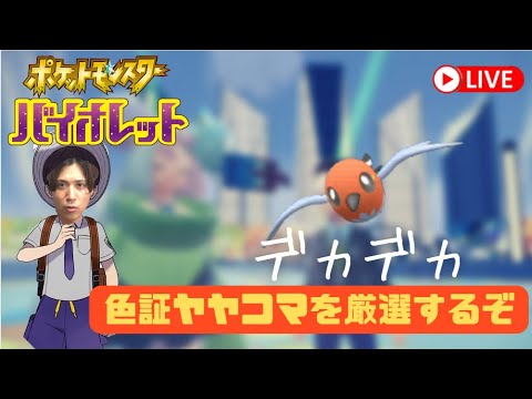 【ポケモンSV】ヤヤコマの色証orデカデカ狙いに行く。