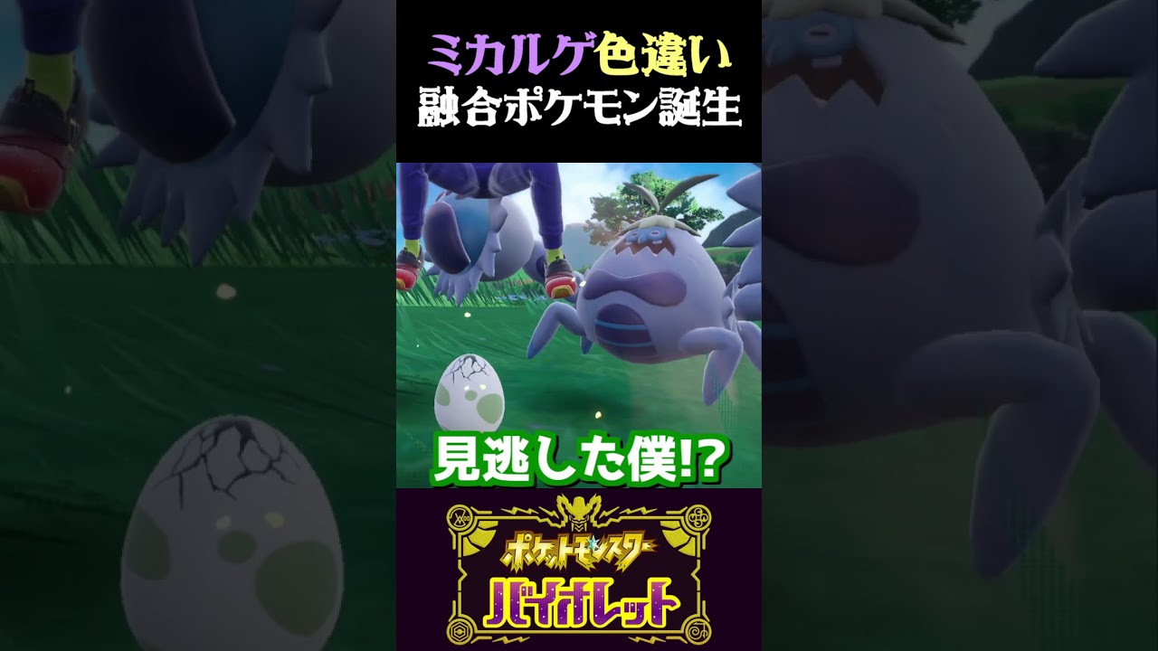 【融合】色違いミカルゲ孵化厳選したら融合キメラポケモンが誕生したww【ポケモンSV】【スカーレット・バイオレット】【うさごん】