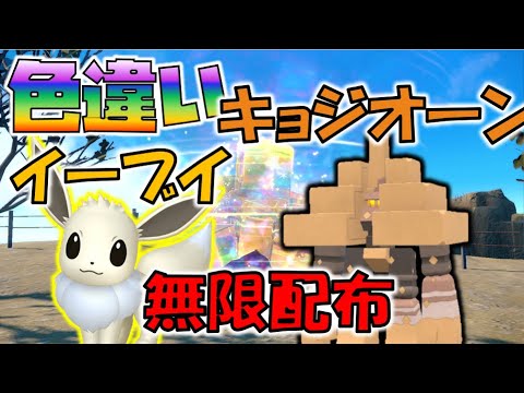 【神】色違いキョジオーン・イーブイ無限配布【ポケモンSV】
