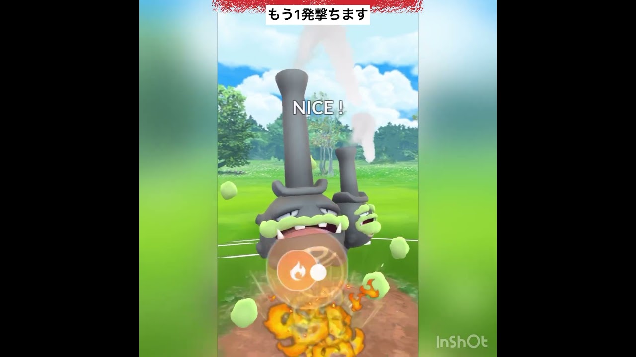 ピジョット使ってみた‼️