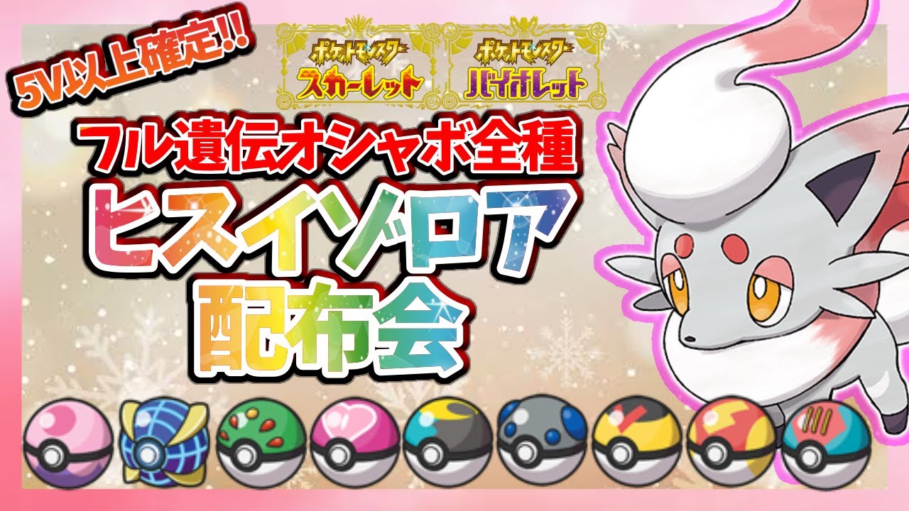 【合計1200体以上!!】オシャボ全種!ヒスイゾロア配布会！！ひかえめ!５V以上!フル遺伝!!条件達成でムンボ色ヒスイゾロアプレゼント!!【繊月クレト】 #ポケモンSV #ポケモンライブ
