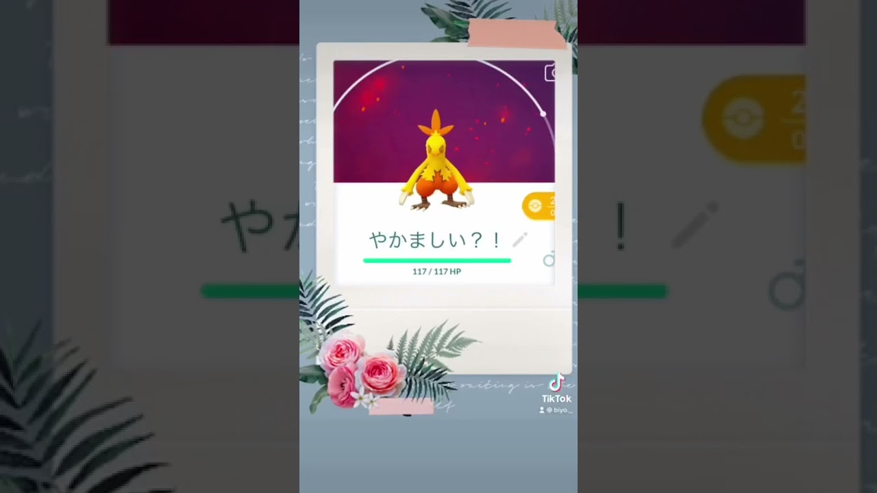 #ポケモン#ショートストーリー#ワカシャモ#鳴き声#Shorts  🌸💕✨