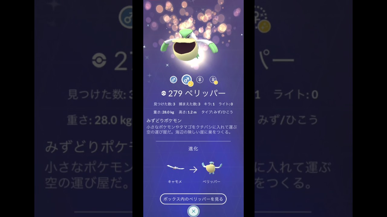 キャモメ/ラクライからの〜【ダイパリメイク】