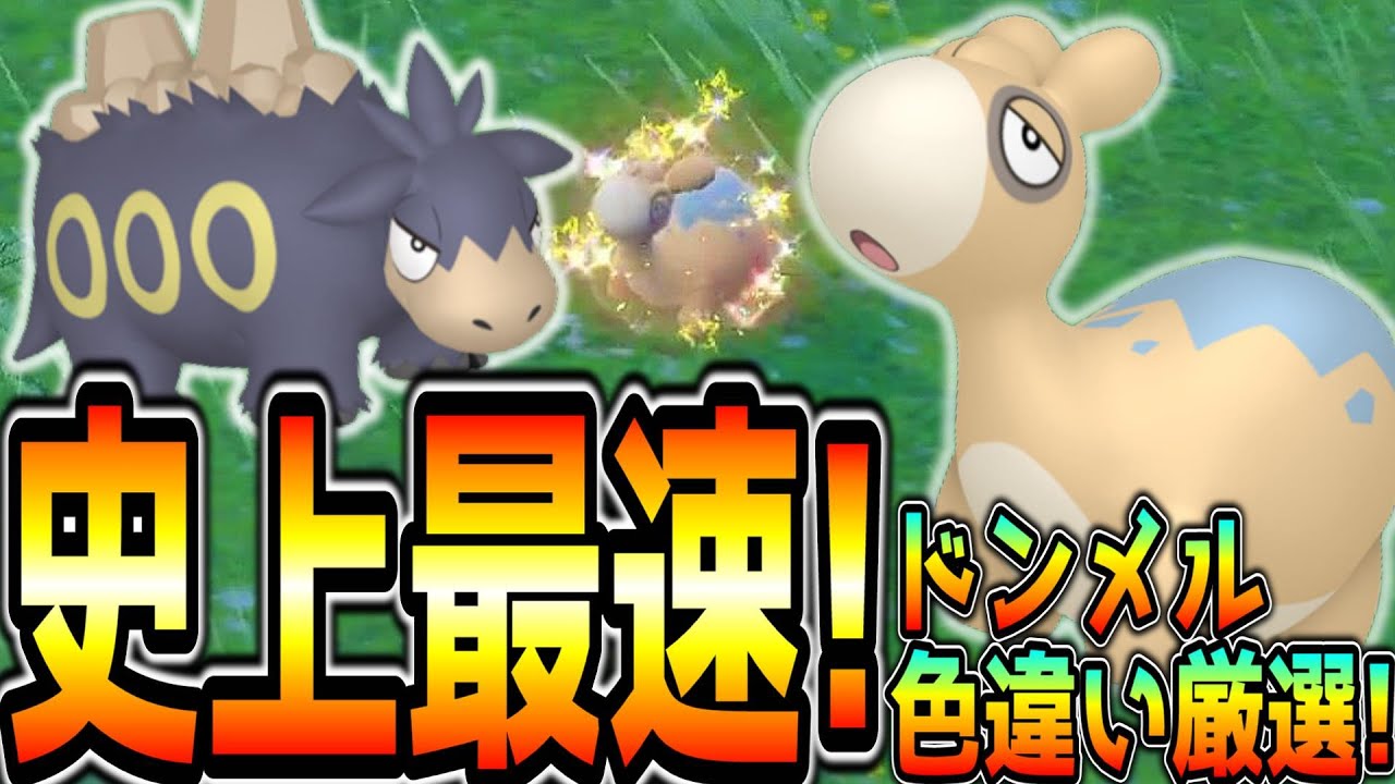 最速！ドンメル色違い厳選方法！【ポケモンSV】