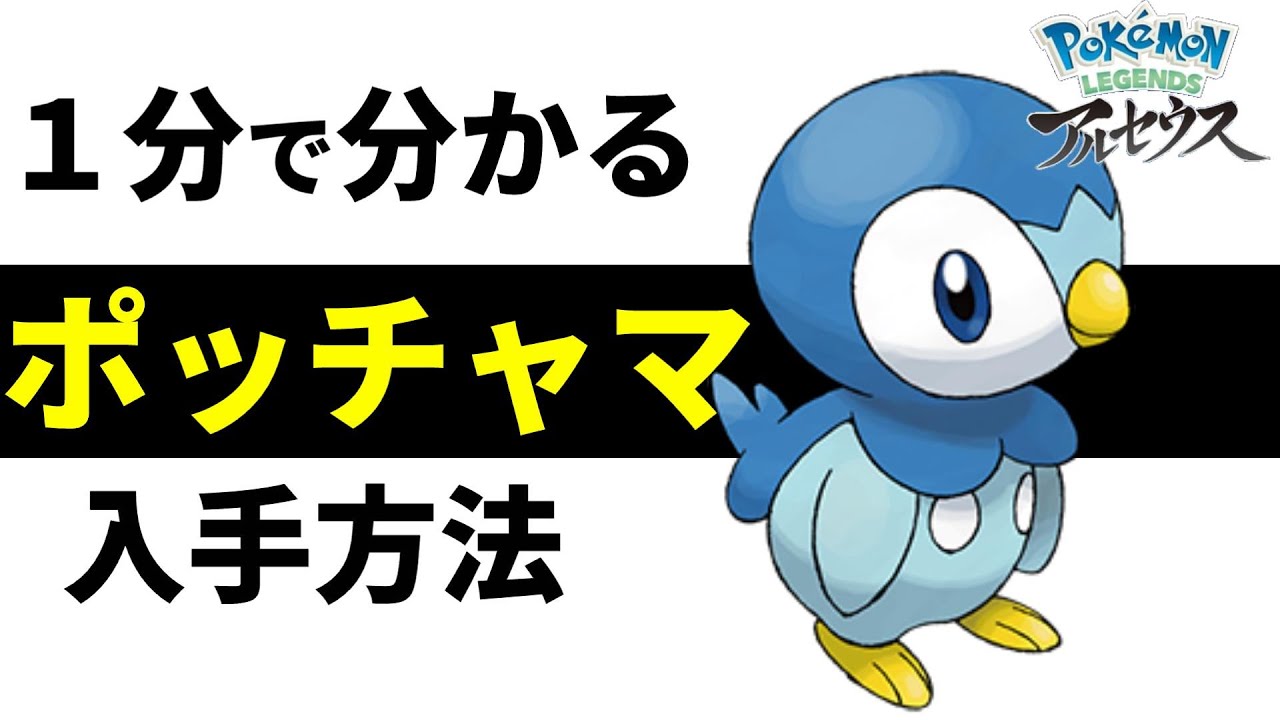 １分で分かるポッチャマ入手方法【ポケモンレジェンズアルセウス,Pokémon LEGENDS】