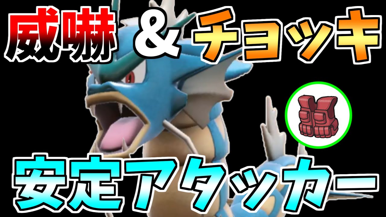 物理にも特殊にも強い！チョッキアタッカー型ギャラドス！【ポケモンSV】