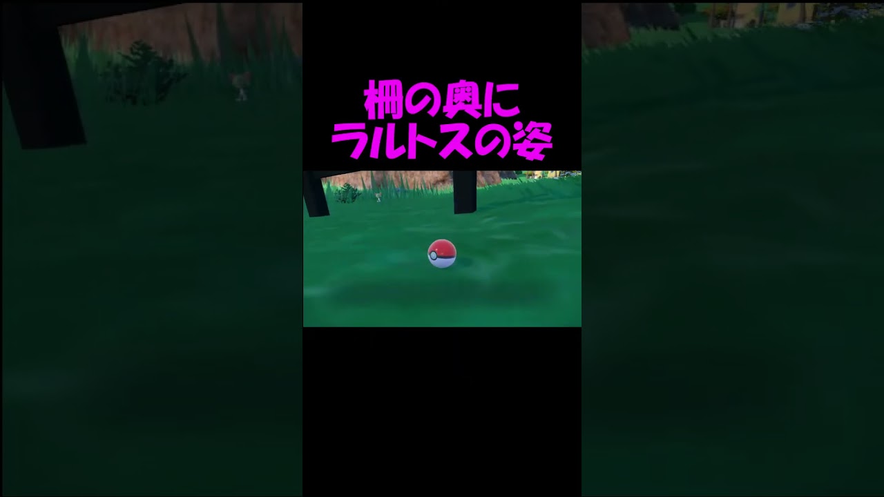 コダックの呪い【ポケモンSV】
