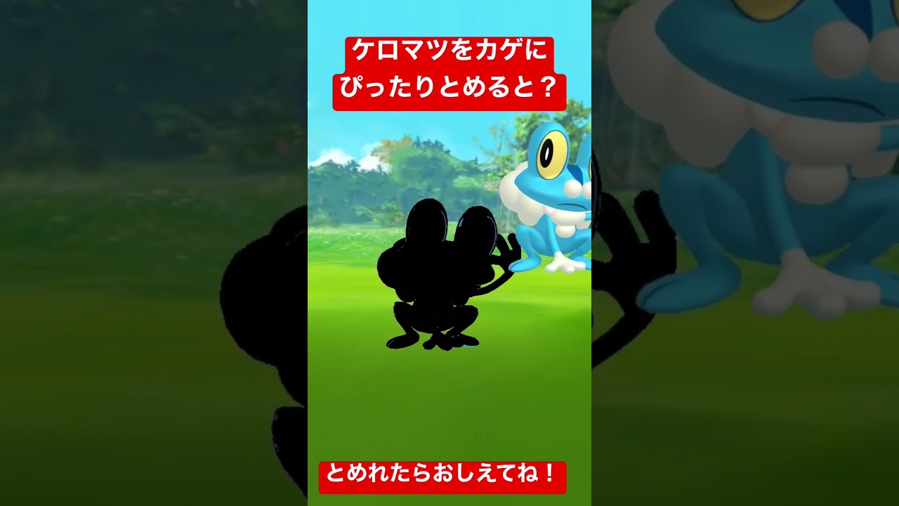 ぴったりゲーム！ケロマツをカゲにぴったりとめてね！#ポケモン