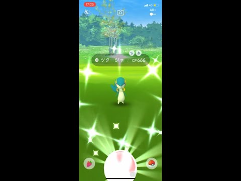 【PokémonGO 】Shiny Snivy！色違いツタージャ！