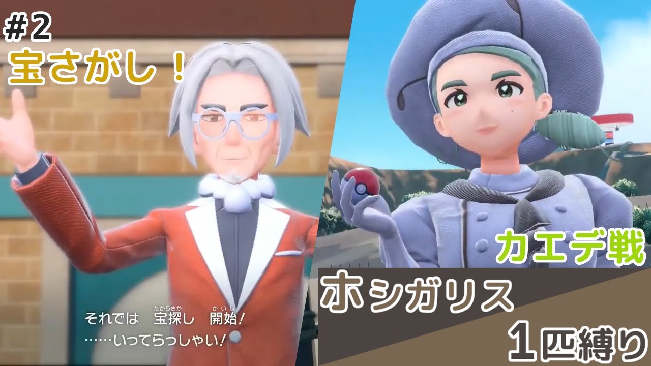 【ポケモンSV】ホシガリス一匹縛り Part2【配信切り抜き】