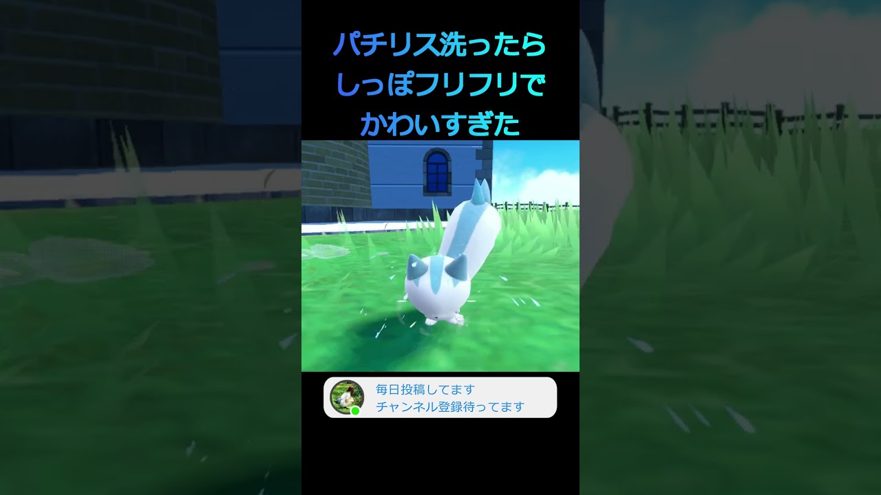 【ポケモンSV】しっぽフリフリするパチリスがかわいすぎる #shorts