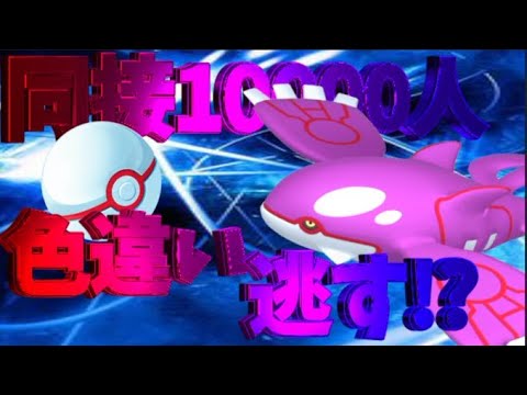 【ポケモン ダイパリメイク】色違いカイオーガを逃してしまう配信者がヤバイwww【ある意味神回】