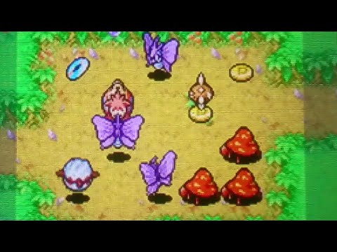 【ポケダン青】深層ポケモンできよらかなもり①【バクーダ】