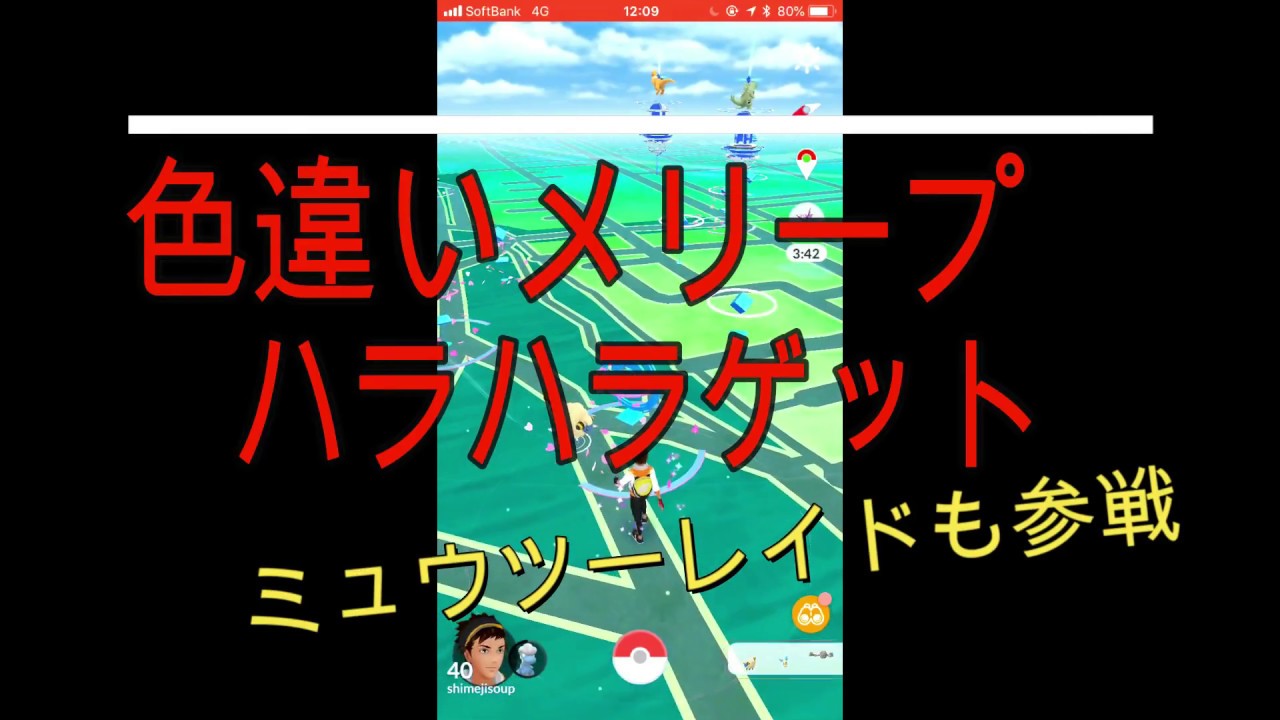 色違いゲットの為にメリープ一生懸命捕獲した！その後ミュウツー参戦【ポケモンGO】