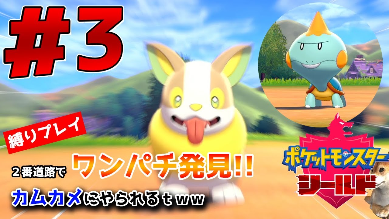 ポケモンシールド 実況プレイ ワンパチ発見！カムカメにやられるｗ # 3