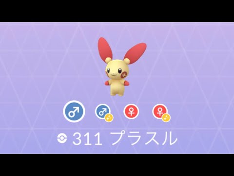Pokémon GO 311 プラスル