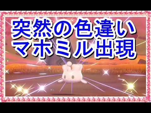 【ポケモン剣盾】スボミーを探していたら色違いマホイップが作れるようになった【ポケモンソード・シールド】