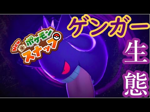 【３分で分かる】ゲンガーの生態【ポケモンスナップ】