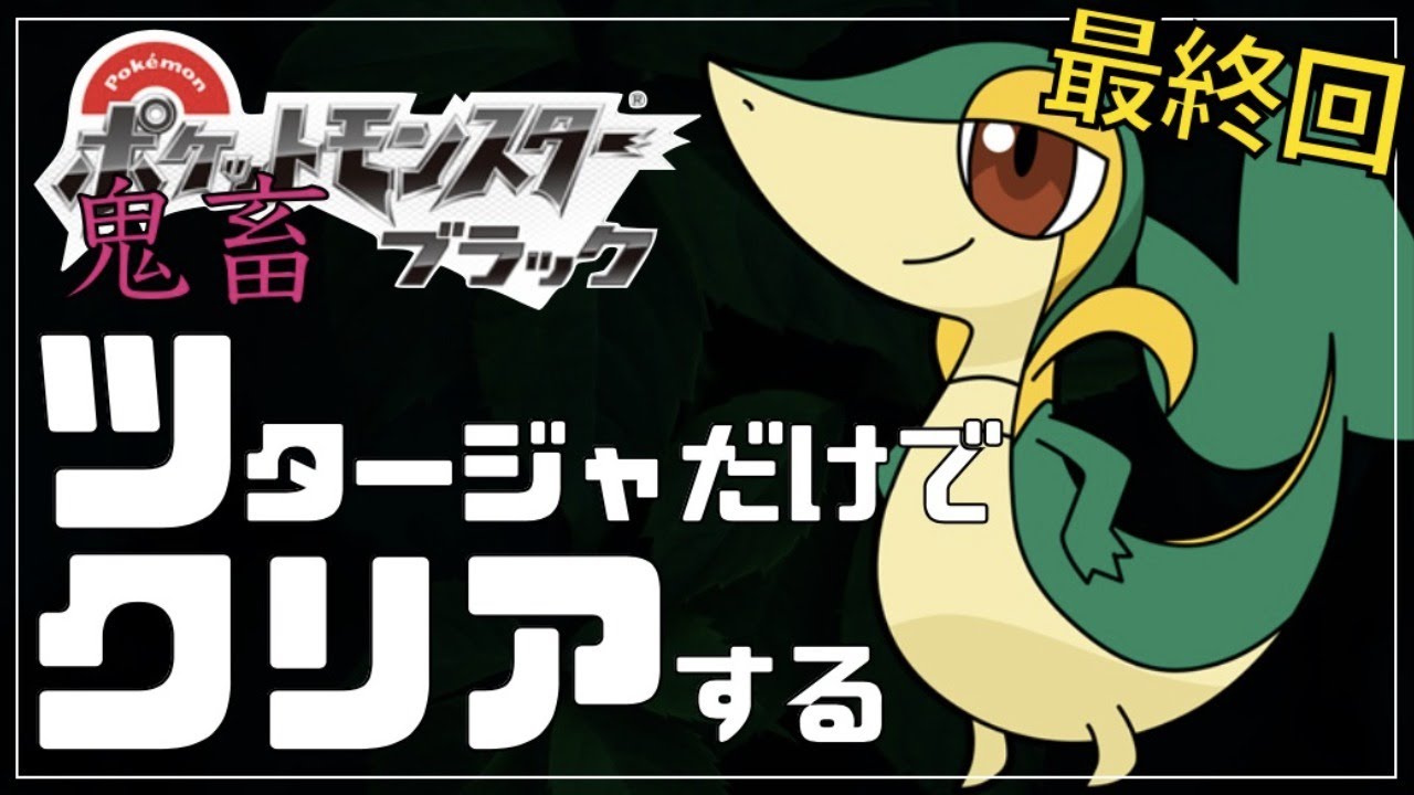 ブラックをツタージャ単騎縛りでクリアする#Final【ポケモンBW】