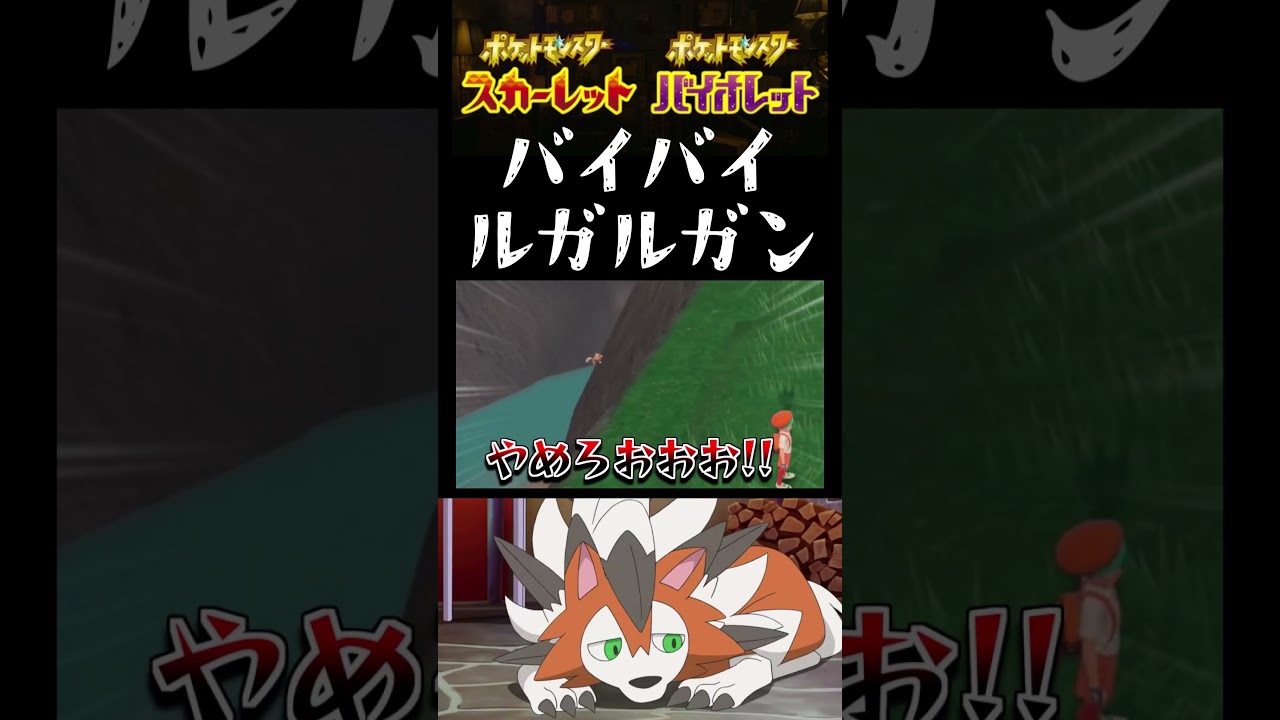 【ポケモンSV】大ピンチ!? 色違い厳選中に崖から転落していくルガルガン…【スカーレット】【ポケモン】【切り抜き】【色違い厳選】【色違いポケモン】#short