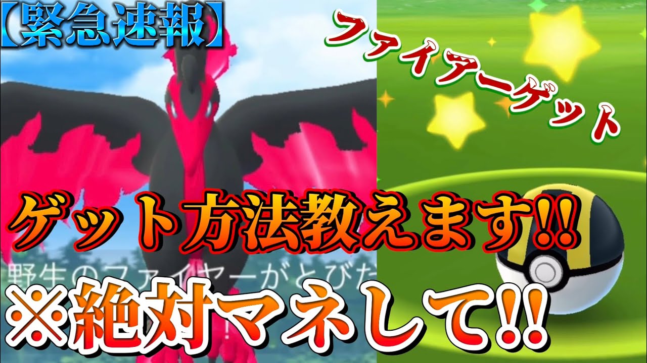 【ポケモンGO】【緊急速報】※ガラル三鳥ゲット!! ひげパパはこの方法でガラルファイアーをゲットしました!!