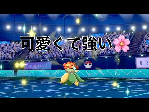見た目によらず強い！？〇〇型キレイハナ登場✨【ポケモン剣盾】