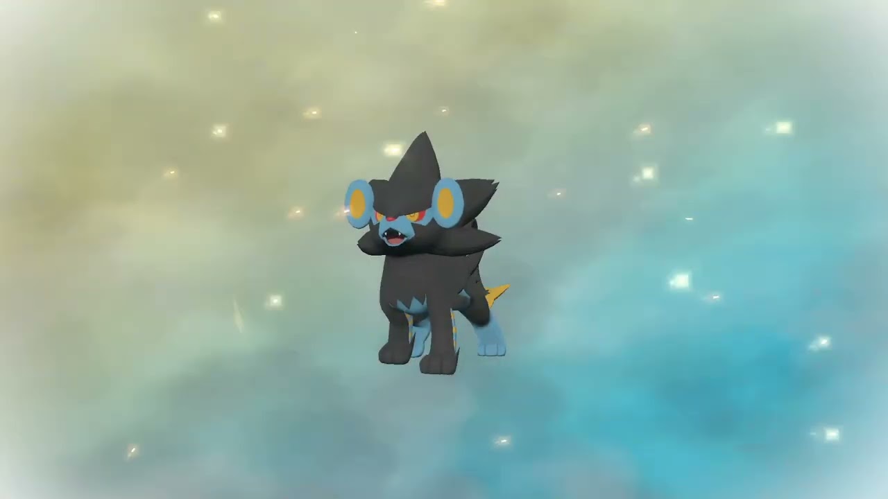 【ルクシオ】Pokémon LEGENDS アルセウス 進化 Evolve【Luxio】