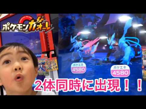 ブラックキュレムとホワイトキュレム2体同時に出現！！ポケモンガオーレ