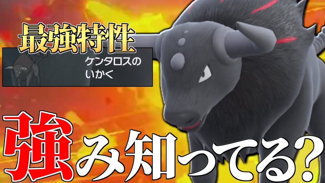 【まさかの環境入り】厄災伝説に強くて最強特性を持ってる『炎ケンタロス』ってもしかしてクソ強いんじゃね？？【ポケモンSV】