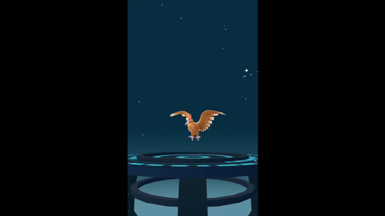 PokemonGO #64 オニスズメからオニドリルへ進化