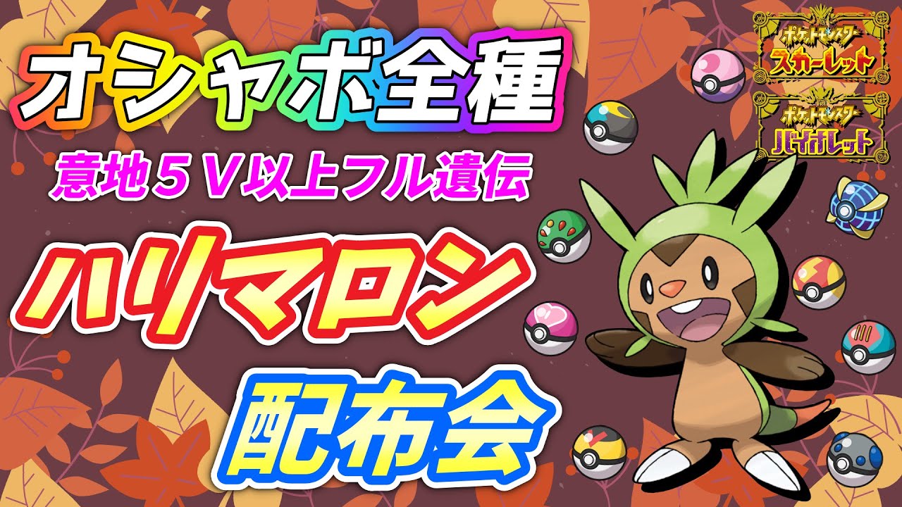何度でも交換OK！ハリマロン全種類オシャボ配布会！夜の部【ポケモンSV】