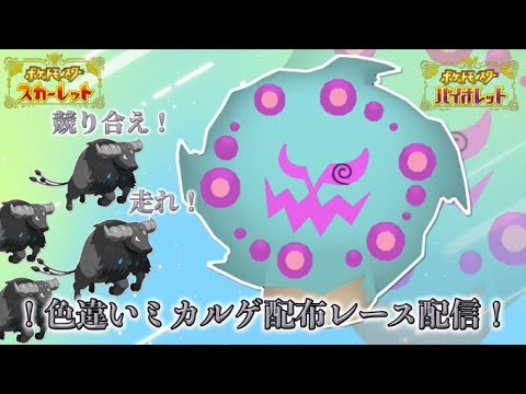 【ポケモンSV】固定シンボル色違いミカルゲ配布！ミカルゲ争奪戦レース配信！ミカルゲダービー！
