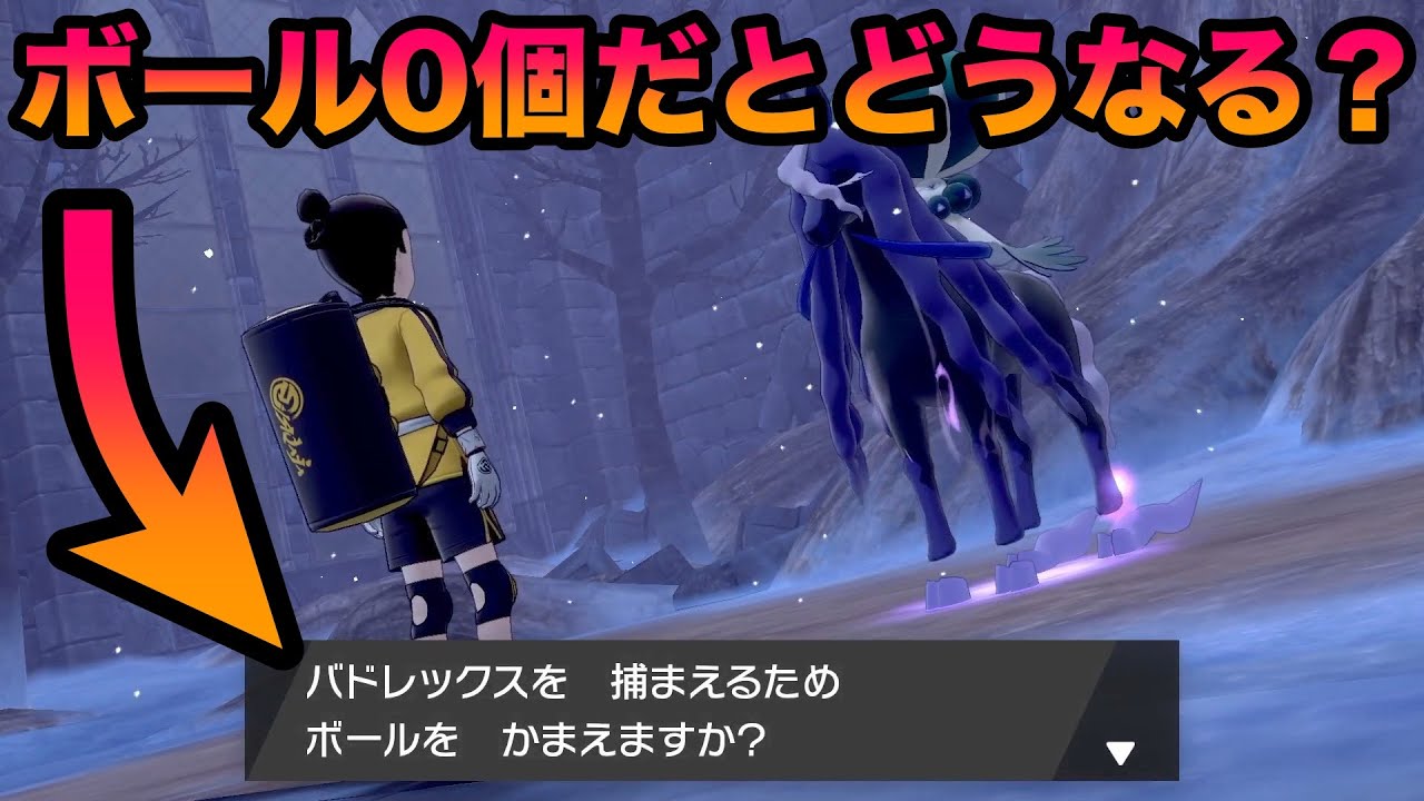 【検証】「ボールをかまえますか？」のときにボールが0個だとどうなる？意外すぎる事実が判明？！【冠の雪原/ポケモン剣盾有料DLC】