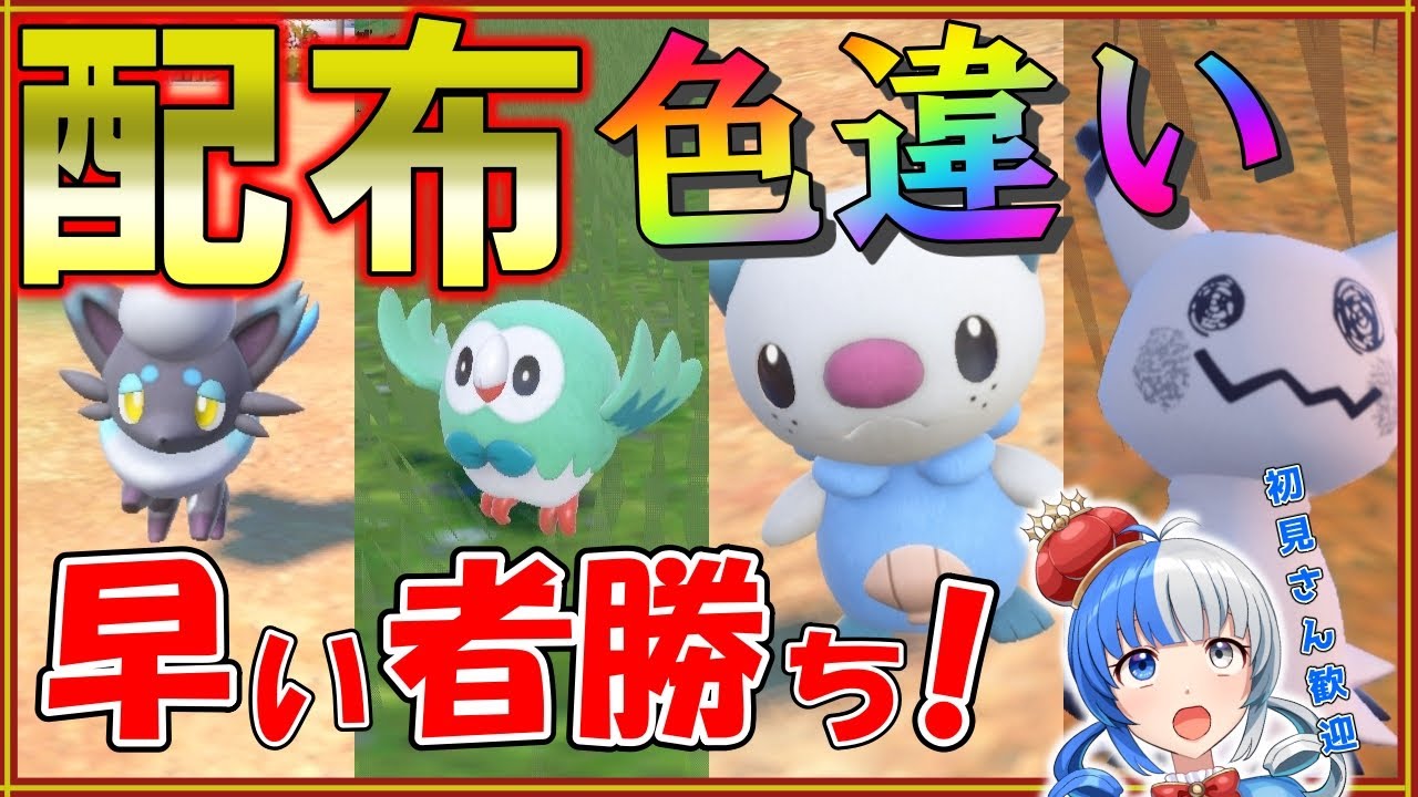 【ポケモンSV】色違い大量プレゼント！色ミジュマル限定２体！早い者勝ちで配布します！【#ポケモン配布 #ポケモン交換 】