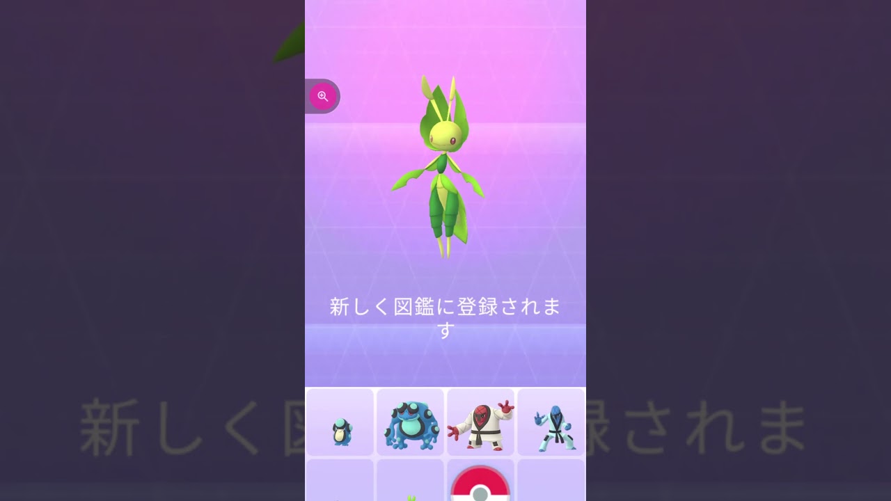 #shorts◇クルマユ進化でハハコモリ 図鑑登録　前回クルマユに進化した続きです　ハハコモリに進化するにはアメが最低125個も必要です。アメが貯まったので進化して図鑑登録出来ました＃477