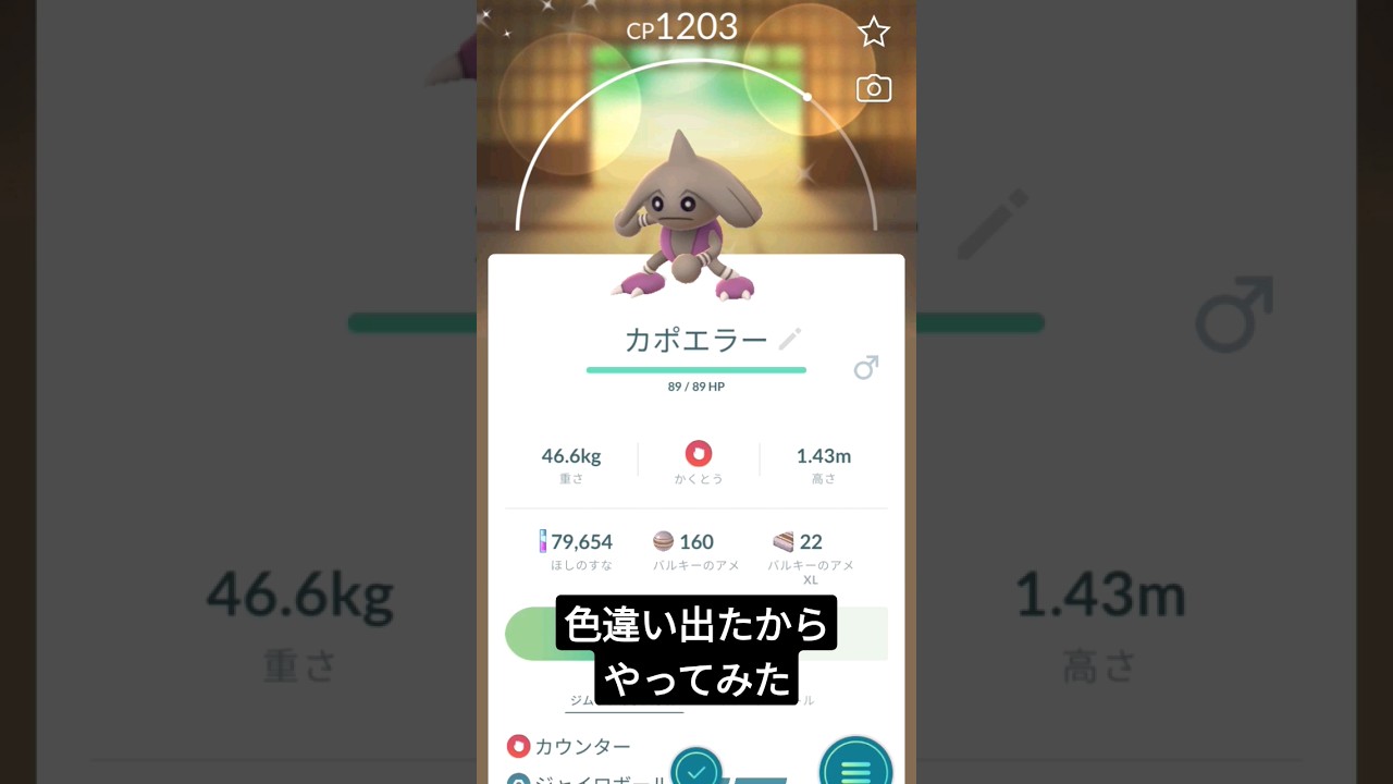 数年前に流行ってたカポエラー×新宝島