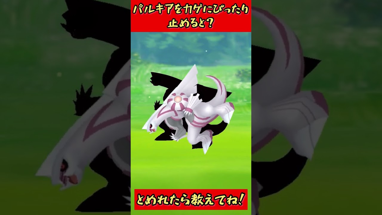 ぴったりゲーム！パルキアをカゲにぴったり止めると？#ポケモン