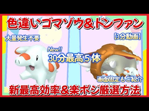 30分最高5体色違いゴマゾウ＆ドンファン最高効率＆最楽ポジ紹介3分動画 #ポケモンsv #最高効率 #色違い #大量発生不要 #画面固定 #ゴマゾウ #ドンファン