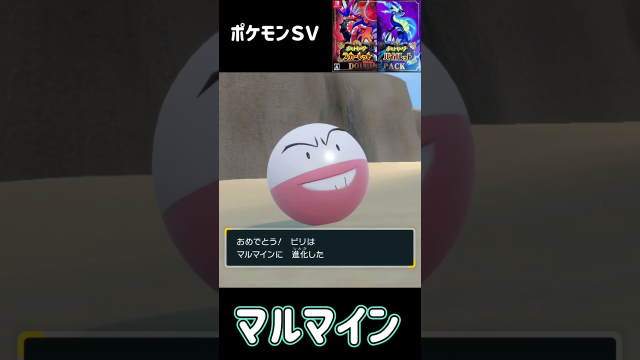 ビリリダマ進化　マルマイン　ポケモンSV #pokemon