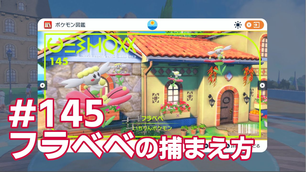 フラベベを探している方に見てほしい動画