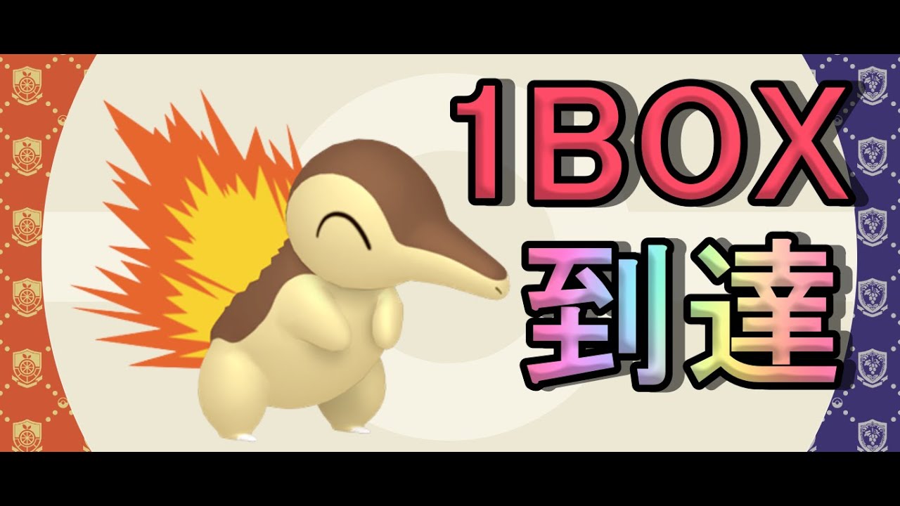 【ポケモンSV】激レア『色違いヒノアラシ』1BOX分達成！！！！