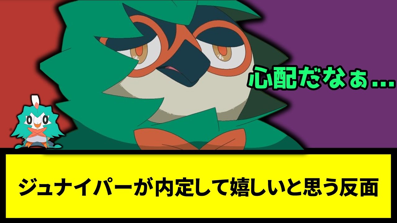 【心配】ジュナイパーが内定して嬉しいと思う反面【なんJ反応】【ポケモン反応集】【ポケモンSV】【5chスレ】【ゆっくり解説】